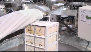 Liquid Nitrogen Freezer